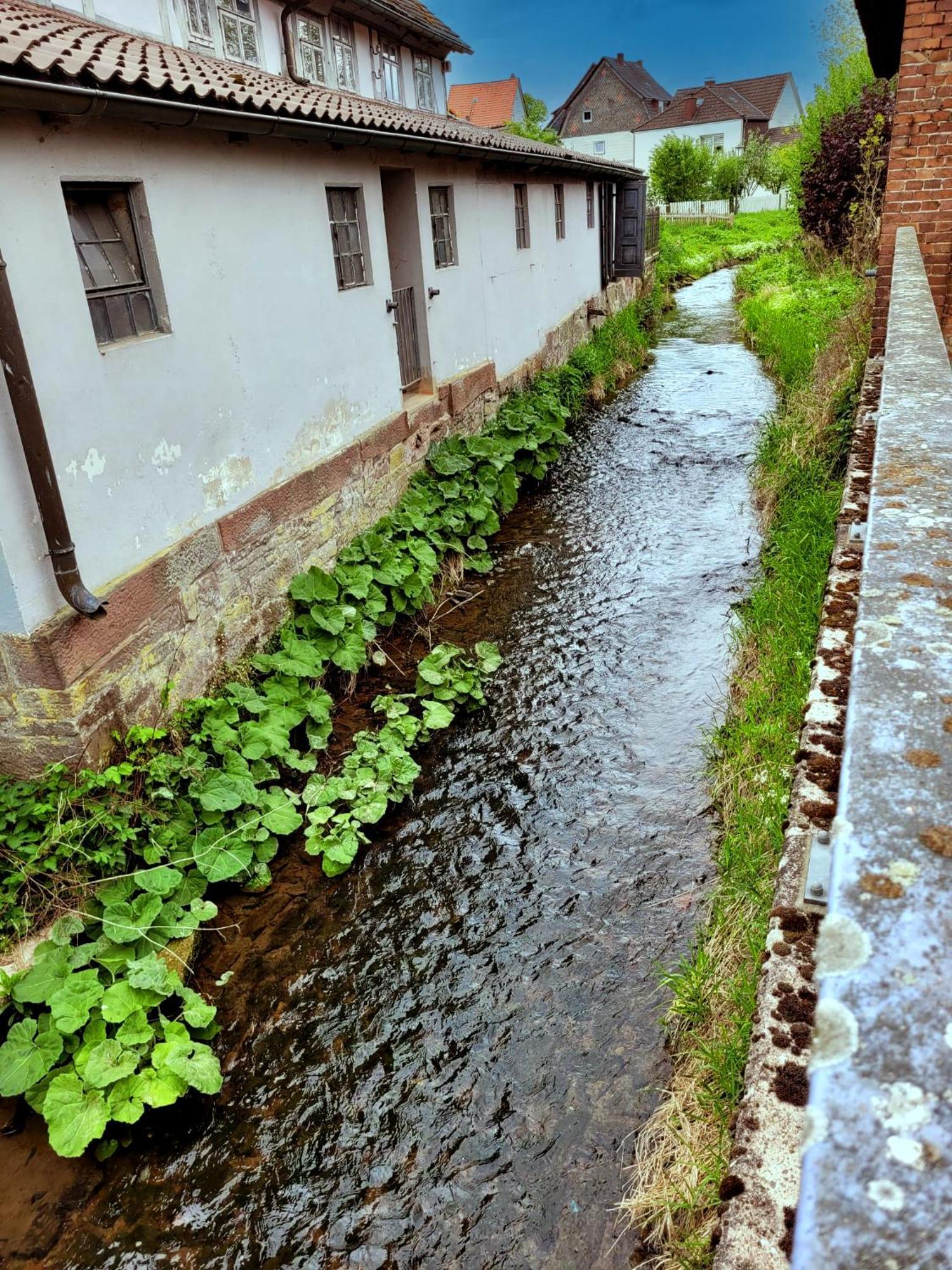 Ferienwohnung Zum Sollingtor Dassel ภายนอก รูปภาพ