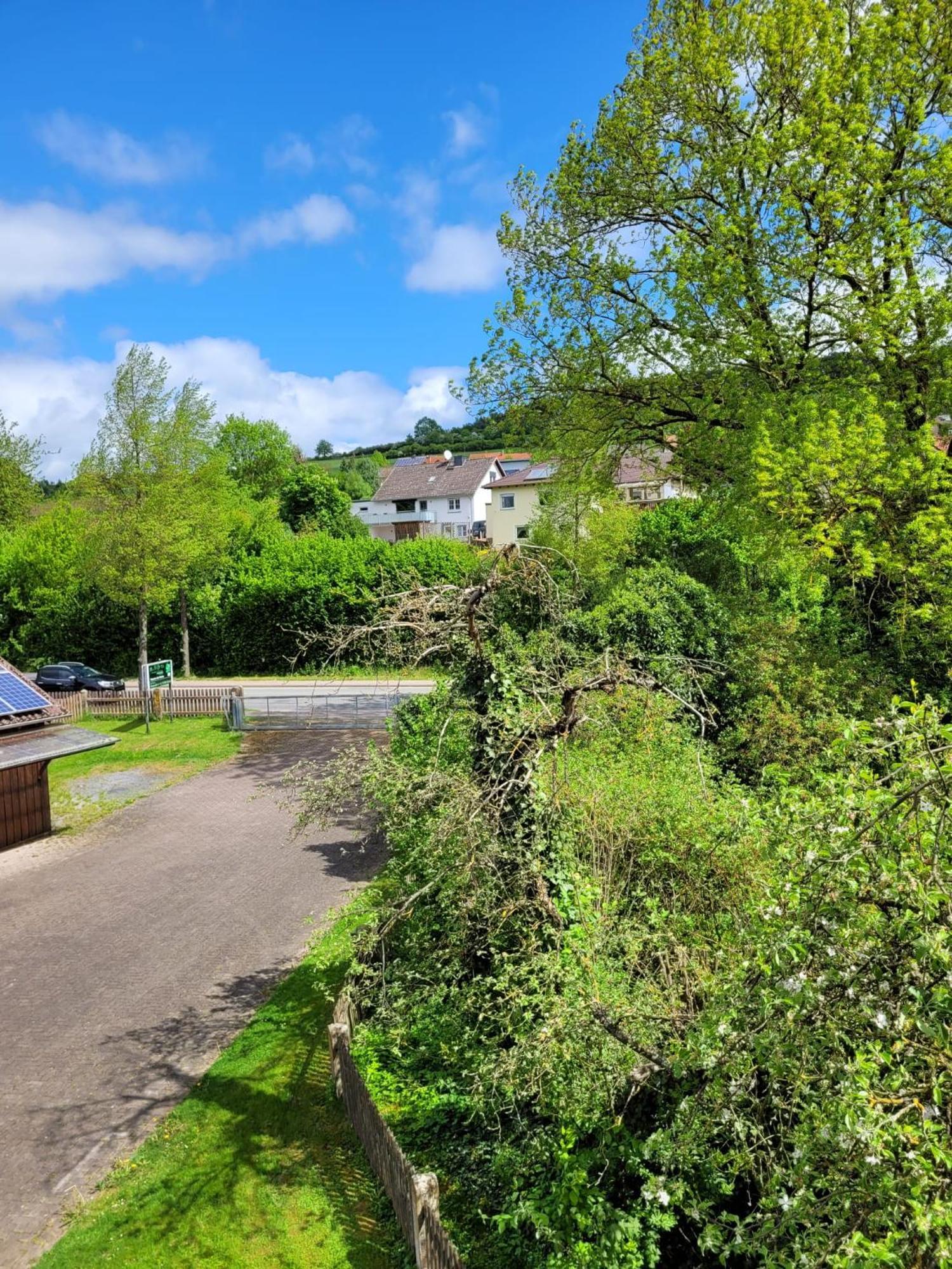 Ferienwohnung Zum Sollingtor Dassel ภายนอก รูปภาพ