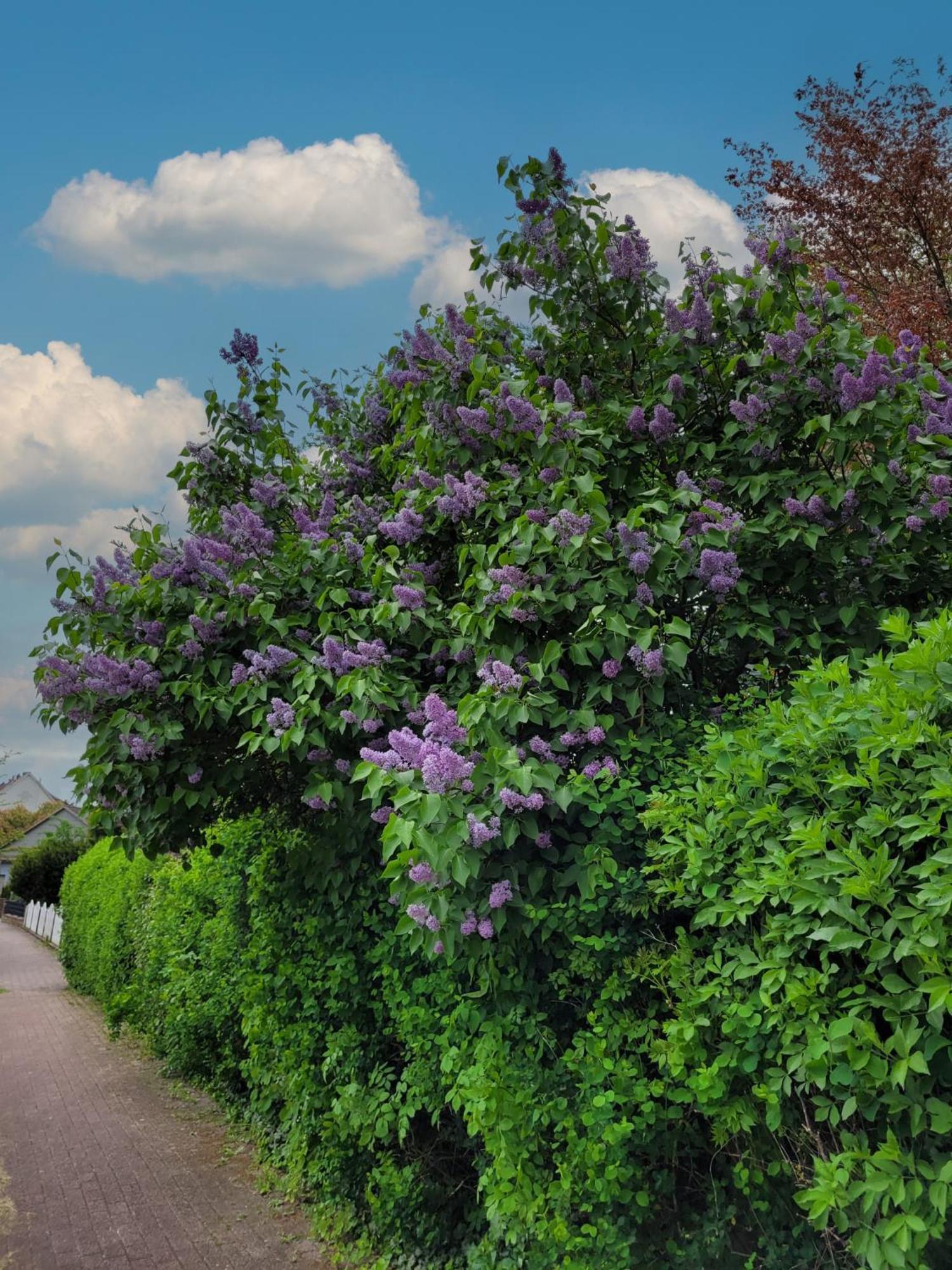 Ferienwohnung Zum Sollingtor Dassel ภายนอก รูปภาพ